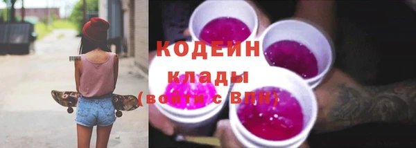 МДПВ Заводоуковск